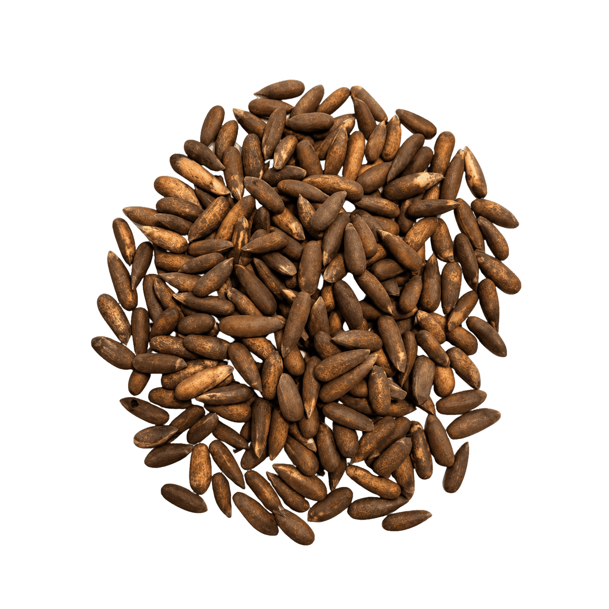 Pine Nuts Fazlan Shirzad Dry Fruits packet